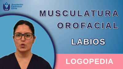 Musculatura Orofacial - Labios