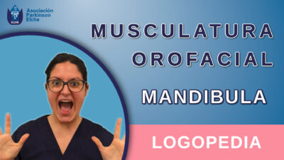 Musculatura Orofacial - Mandíbula