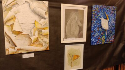 Exposición Dibujo Catral 2024 - Día Mundial del Párkinson