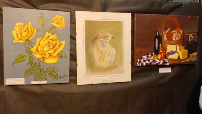 Exposición Dibujo Catral 2024 - Día Mundial del Párkinson