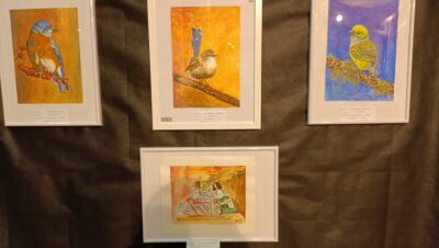 Exposición Dibujo Catral 2024 - Día Mundial del Párkinson