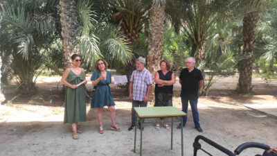 Fiesta de verano 2024