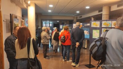 Exposición de Pintura en Catral 2025