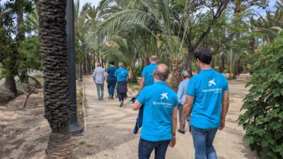 Jornada Participativa - Voluntariado