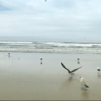 Reto Parkinson 4×4 – Etapa 4: la más dura y la más hermosa