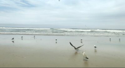 Reto Parkinson 4x4 - Etapa 4: la más dura y la más hermosa