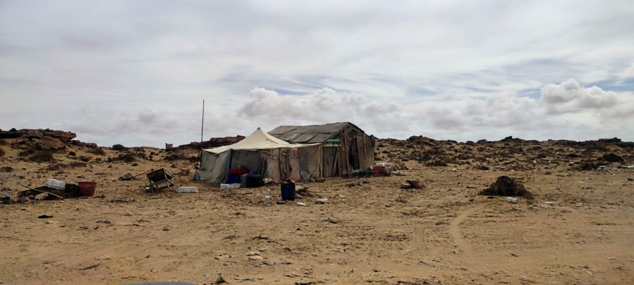 Reto Parkinson 4×4 – Etapa 4: la más dura y la más hermosa