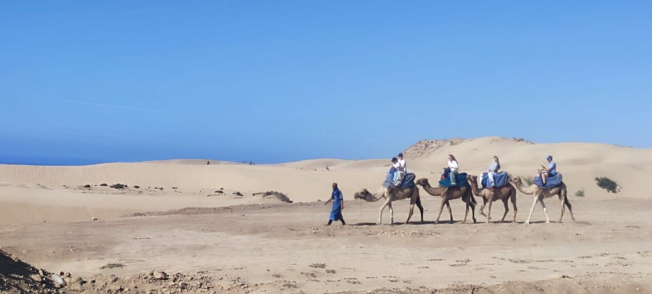 Reto Parkinson 4×4 – Etapa 2: Essaouira → Agadir
