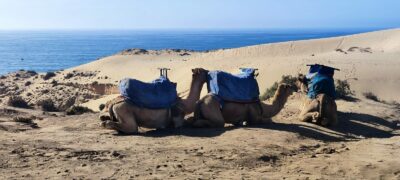 Reto Parkinson 4x4 - Etapa 2: Essaouira → Agadir