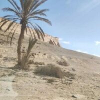 Reto Parkinson 4×4 – Etapa 5: estrategia y trabajo en equipo