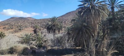 Reto Parkinson 4x4 – Etapa 5: estrategia y trabajo en equipo