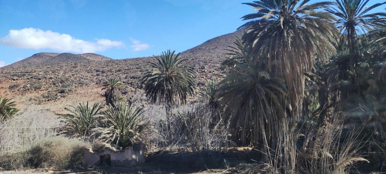 Reto Parkinson 4×4 – Etapa 5: estrategia y trabajo en equipo