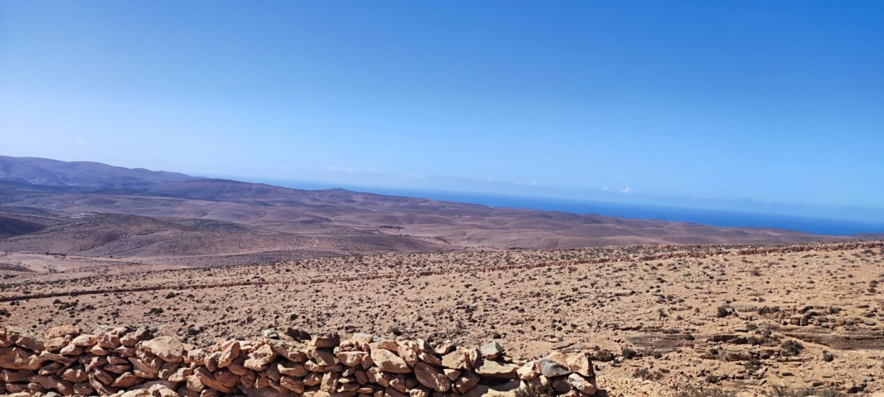 Reto Parkinson 4×4 – Etapa 5: estrategia y trabajo en equipo