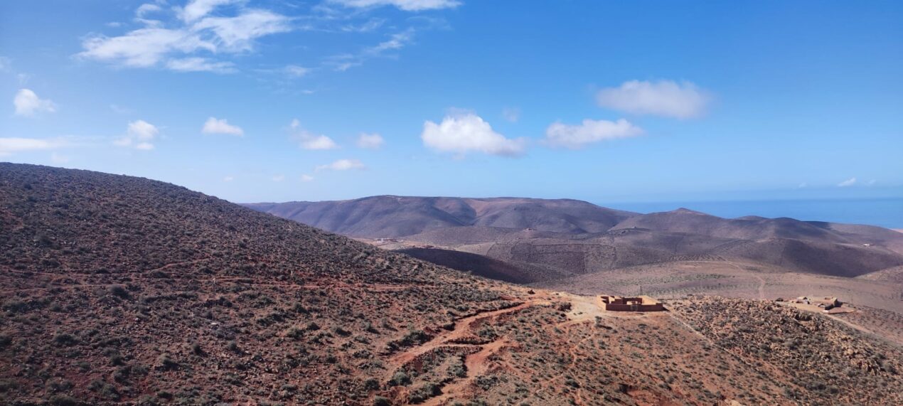 Reto Parkinson 4×4 – Etapa 5: estrategia y trabajo en equipo