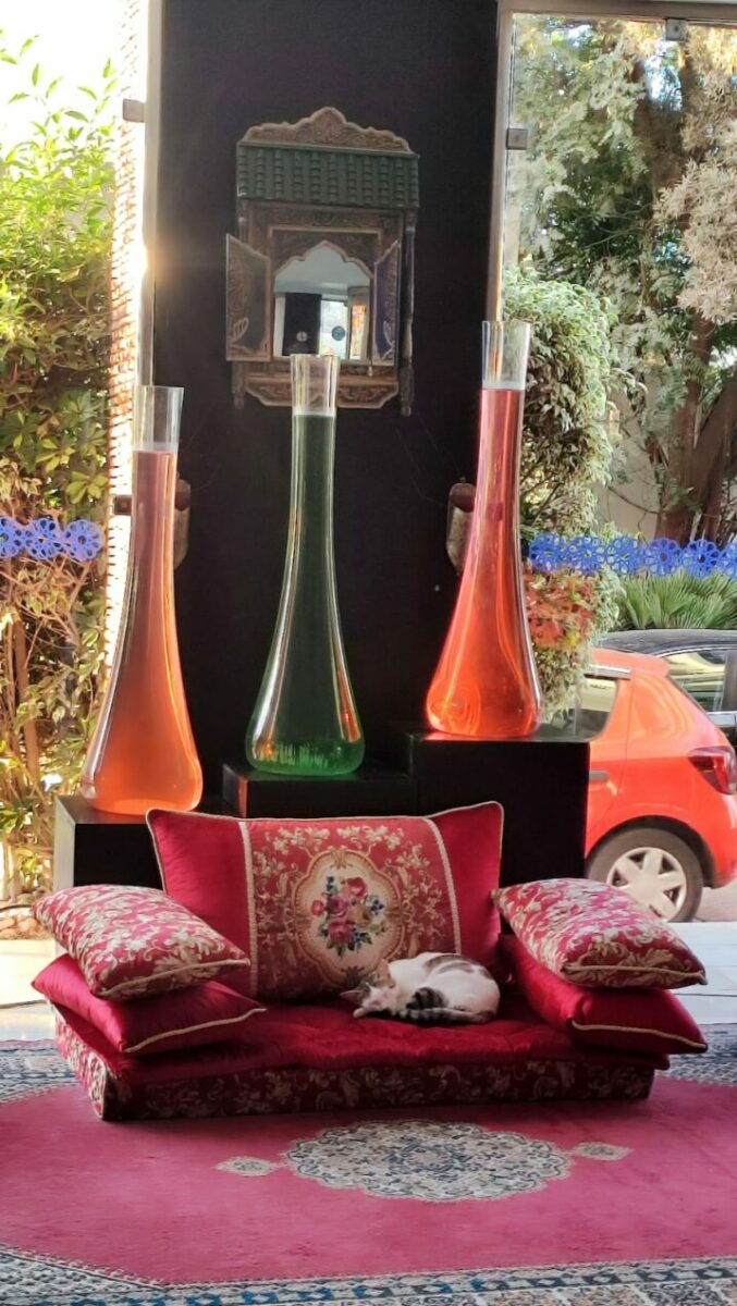 Reto Parkinson 4×4 – Etapa final y cierre de una gran aventura