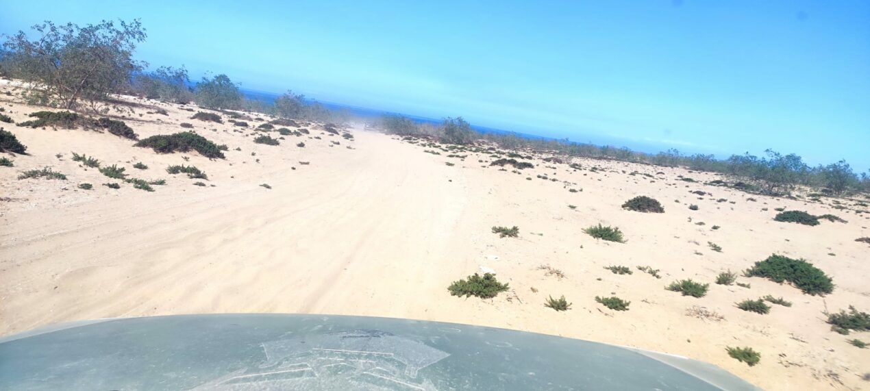 Reto Parkinson 4×4 – Etapa final y cierre de una gran aventura