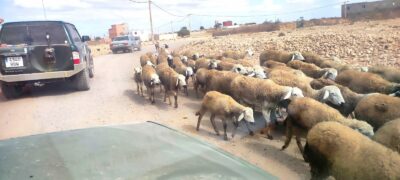 Reto Parkinson 4x4 – Etapa final y cierre de una gran aventura