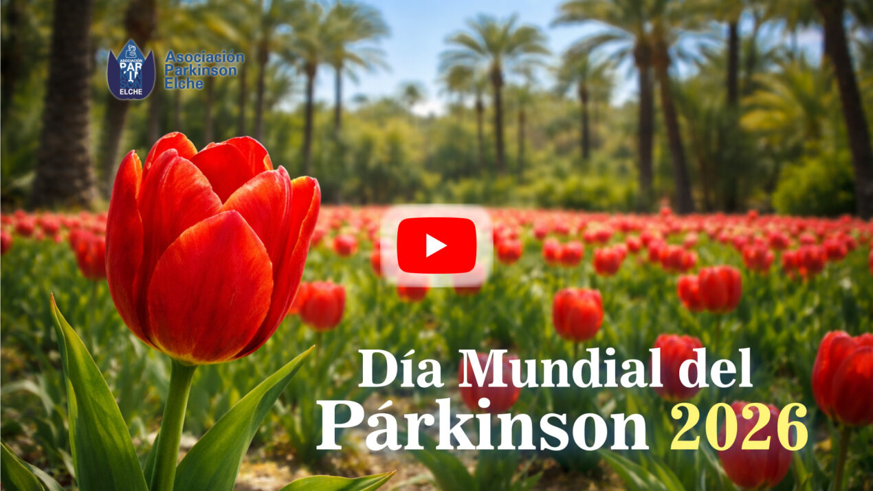 Tulipanes rojos, símbolo de la enfermedad de párkinson en un huerto de palmeras típicos de la ciudad de Elche en el Día Mundial del Párkinson en Elche