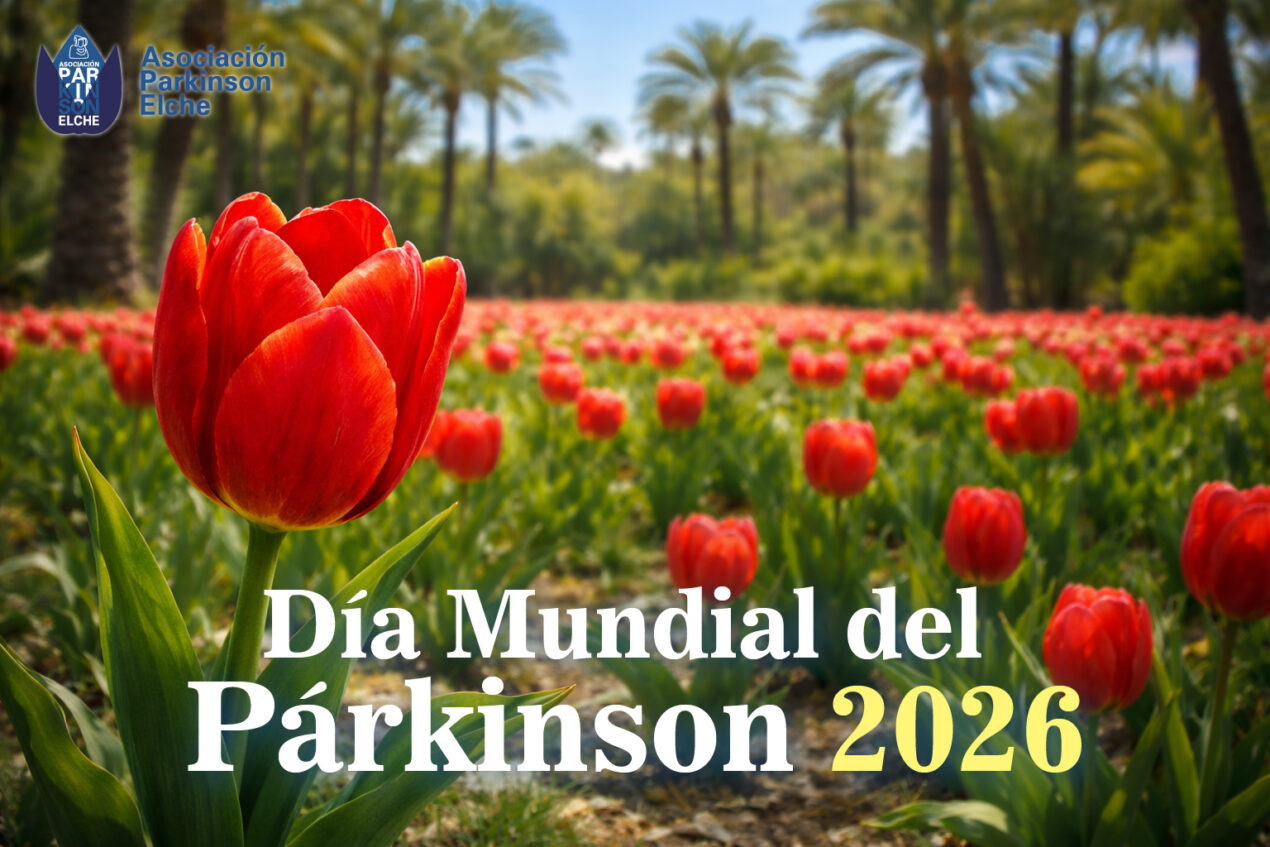 Tulipanes rojos, símbolo de la enfermedad de párkinson en un huerto de palmeras típicos de la ciudad de Elche en el Día Mundial del Párkinson en Elche